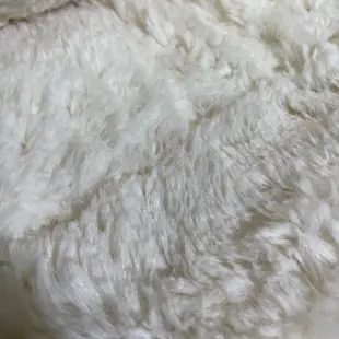 台醋量子健康舒眠毯 遠紅外線量子科技 羊羔絨 雙面料 單人毯 單人被 保暖毯 冬毯 毯子 棉被