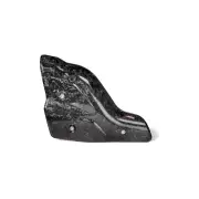 Heat Shield (Carbon) Ducati Monster 1000 2021 – 2023 (P-HSD9SO3)