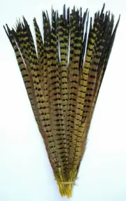 2 Pcs DYED YELLOW English Ringneck PHEASANT Feathers 20-26" Costume/Hats/Craft