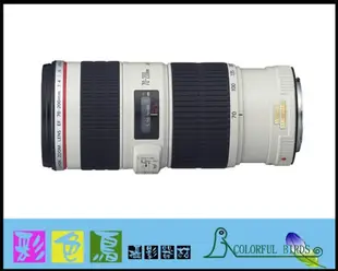彩色鳥 (相機出租 鏡頭出租 租鏡頭 DV出租) Canon EF 70-200mm f4L IS USM 新小小白IS