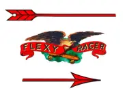 FLEXY RACER DECAL WATER SLIDE LASER PRINTED