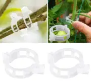 100x Tomato and Veggies Greenhouse Garden Plant Support Clips Trellis Twine