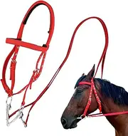 Draft Horse Bridle - Anti-Tear Horse Riding Headstall,Nylon Equine Noseband Reins for Women Men, Soft Lined Trail Riding Equestrian Supplies