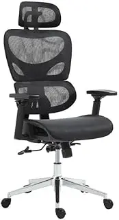 Ergolux EZ11 Ergonomic Office Chair with Dynamic Lumbar Support (Black) - ELEZ11HBMCA