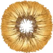 120pcs Goose Feathers 6-8 Inch 15-20cm Decorative Natural Goose Nagoire Gold