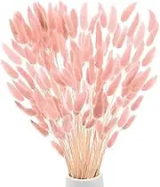 uxcell 180-Pack Bunny Tails Grass 17 Inch Fluffy Rabbit Tail Grass Dried Flowers Branches Vase Filler Dried Grass Decor for Home/Wedding/Vase/Office/Party [Light Pink]