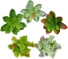 POANTA 5 Pack Assorted Artificial Succulents Plants Set Unpotted Faux Succulent