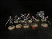 Warhammer 40K DPS painted Dark Eldar Drukhari Wyches SK5352