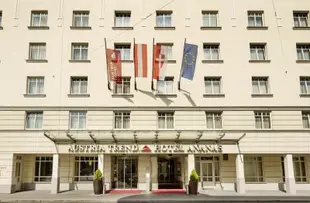 奧地利潮流酒店-維也納阿納納斯