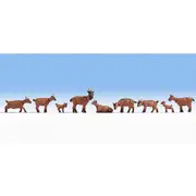 Noch Ho Goats