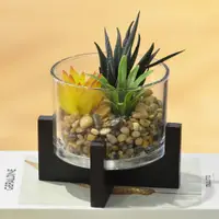 在飛比找PChome24h購物優惠-【YU Living】仿真仙人掌植物裝飾盆栽 人造景玻璃擺飾
