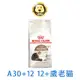 《ROYAL CANIN 法國皇家》老貓12+歲專用乾糧A30+12 2KG(貓飼料 老齡貓) 超取限2包【培菓寵物】