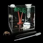 Jumping Spider Enclosure, Acrylic Snail Spider Terrarium Insect Breeding Box ...