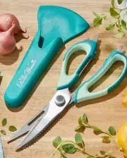 Pioneer Woman Teal Kitchen Shears