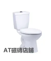 在飛比找Yahoo!奇摩拍賣優惠-【AT磁磚店鋪】CAESAR 凱撒衛浴 CT1325-30C