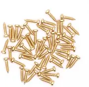Tuning Peg Tuning Key Screws Machine Heads Guitar Tuner Mounting Screws for Electric/Acoustic Guitar Bass 11 x 2 mm 50 Pack (Gold)