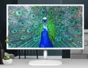 AOC 31.5' IPS Panel 4ms 2K QHD 2560x1440, HDMI, DP, 75Hz, 3-sided Narrow Frame,