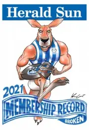 North Melbourne kangaroos POSTER, FREE POST, AFL FOOTBALL, cats, dogs