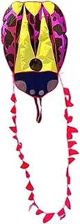 RNXRZANK Ladybug Soft Kite Outdoor Toys Sport Kite Flying Toy for Playground Yard Beginner