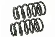 Mevotech SMS60044 Coil Spring Set For 03-11 Honda Element (for: Honda)