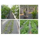 1M/3M Weedmat Weed Control Mat Wide Woven Fabric Heavy Duty Durable UV Resistant