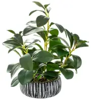 Artificial Plants Decor Greenery Fake Succulents Indoor Potted Fake Plant wit...