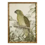 [OneWorld Collection] Jungle Parrot Wall Art B