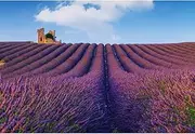 Aoihrraan 3 x 2.5 m Lavender Mansion Background Purple Lavand Fields Botanical Gardens Blue Sky White Clouds Photography Background Wedding Photo Baby Shower Decoration Accessories Portrait Props