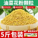 油菜花粉喂蜂新鮮粉天然雜粉蜂糧中蜂專用飼料【5斤裝】裝養蜂箱~~朵朵