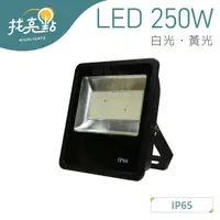 在飛比找蝦皮購物優惠-找亮點【大友照明】LED 250W 戶外投光燈 白光/黃光 