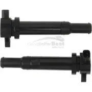 One New Direct Ignition Coil 273013E400 for Hyundai for Kia (for: Kia)