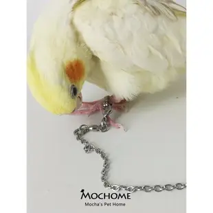 304不銹鋼鸚鵡腳鏈鳥鏈子活扣高級超輕防脫扣腳環玄鳳牡丹鸚鵡