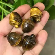 5pcs natural Tiger's eye acorn quartz crystal skull reiki heal gem figurines