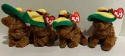 (4) New TY Beanie Babie - Siesta-New in Box