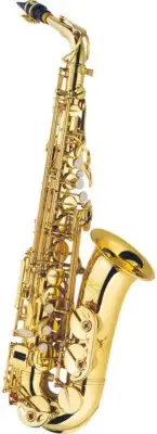 J. Michael Alto Saxophone Alto SAX AL-500 From Japan New
