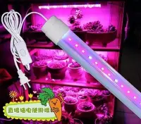 在飛比找Yahoo!奇摩拍賣優惠-LED植物生長燈/促進開花結果專用/30cm6w/補光燈/溫