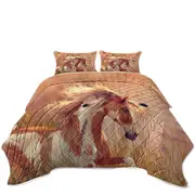 Sun Dancer the Native American Horse Coverlet