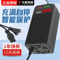 在飛比找露天拍賣優惠-電動車電瓶汽車充電器專用48V36V24V12A20AH30