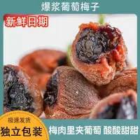 在飛比找蝦皮購物優惠-小夥計 葡萄梅子独立装陈皮味番茄梅子干休闲解馋零食无核夹心酸