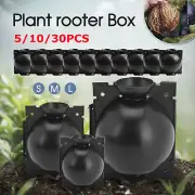 5/30PK Plant Rooting High Pressure Propagation Ball Root Grow Grafting Box NEW