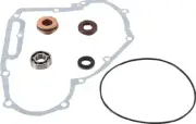 Vertex Polaris Water Pump Repair Kit (821891)