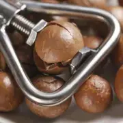 Multifunctional Manual Nut Opener Cracker Machine Walnut Kitchen Tool