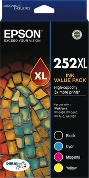Epson 252 XL DURABrite Value Pack