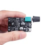 Digital Audio Amplifier Board Amplifier Module Portable for Computer Speaker