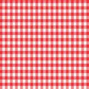 Magic Cover Red/White Checkered Vinyl Disposable Tablecloth 54 in. 54 in.