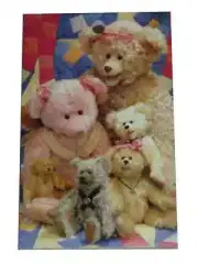 50 Page 5.5" Congress Contract Bridge TEDDY BEAR Score Pad Playing Cards Bicycle