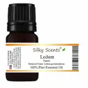 Ledum Organic Essential Oil (Ledum groenlandicum - Labrador Tea - Greenland Moss