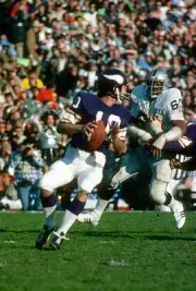 Fran Tarkenton Minnesota Vikings drops back to pass v the Oakland - Old Photo 1