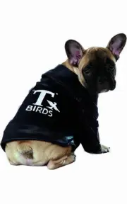 AUTHENTIC T-BIRDS DANNY ZUKO GREASE JACKET PET DOG COSTUME