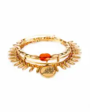 Alex and Ani Set of 3 oak tree Jewel Wrap Bracelet bangles a14flsh124 usa made